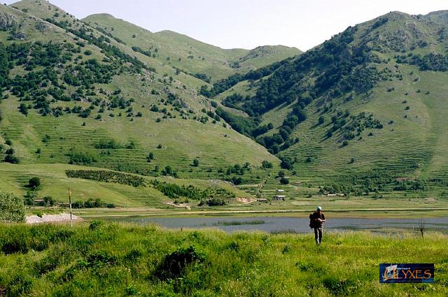 solitario al Lago(foto di G.Adinolfi).jpg